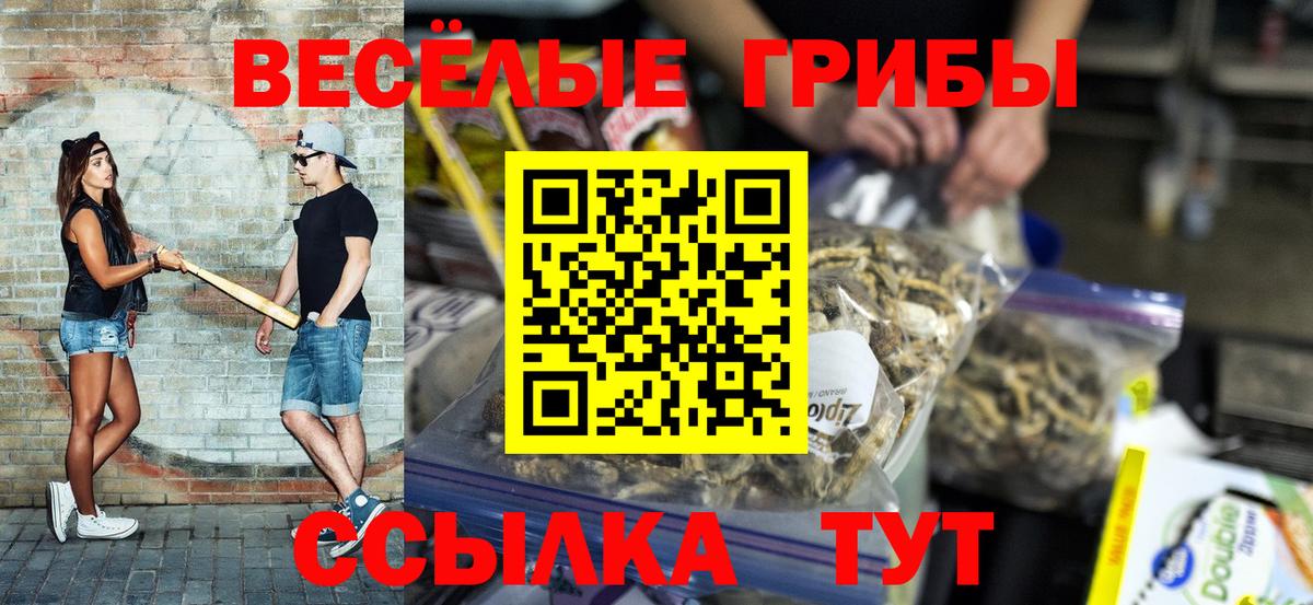 Гагарин  Псилоцибиновые грибы ЛСД  Галлюциногенные грибы ЛСД  Вход с VPN 