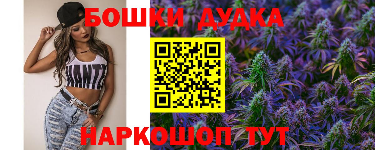 Бошки марихуана план  Вход с VPN  Гагарин  Канабис сатива 